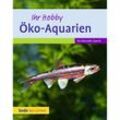 Öko-Aquarien - Kai Alexander Quante, Gebunden
