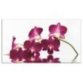 Küchenrückwand ARTLAND "Phalaenopsis Orchidee" Spritzschutzwände Gr. B/H: 100 cm x 55 cm, lila Küchendekoration Alu Spritzschutz mit Klebeband, einfache Montage