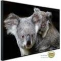 PAPERMOON Infrarotheizung "Koala Mutter und Joey" Heizkörper sehr angenehme Strahlungswärme Gr. B/H/T: 120 cm x 90 cm x 3 cm, 1200 W, bunt (kunstmotiv im aluminiumrahmen) Heizkörper