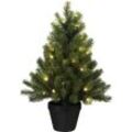 Tannenbaum im Topf mit LEDs - kaiserkraft