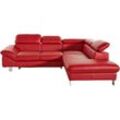 Ecksofa COTTA "Driver L-Form" Sofas Gr. B/H/T: 268 cm x 73 cm x 214 cm, NaturLEDER, Ottomane rechts, mit Kopfteilverstellung-mit Bettfunktion und Bettkasten, rot Leder-Ecksofas mit Kopfteilverstellung, wahlweise Bettfunktion Bestseller