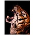 Glasbild ARTLAND "Tiger" Bilder Gr. B/H: 60 cm x 80 cm, Glasbild Wildtiere Hochformat, 1 St., braun in verschiedenen Größen