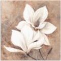 Wandbild ARTLAND "Klassische Magnolien" Bilder Gr. B/H: 100 cm x 100 cm, Alu-Dibond-Druck Blumen, 1 St., beige (naturfarben) als Alubild, Outdoorbild, Leinwandbild, Poster, Wandaufkleber