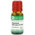 Argentum Nitricum LM 30 Dilution 10 ml