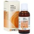 Synergon Komplex 67 Carduus marianus N T 50 ml