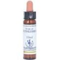 Bachblüten Star of Bethlehem Healing Her 10 ml