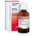 Dr. Reckeweg Dysmenorrhoe-Gastreu S R75 22 ml