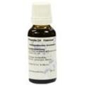 Propolis D 4 Dilution 20 ml