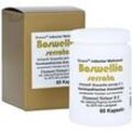 Boswellia Serrata Bioxera Kapseln 60 St