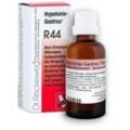 Dr. Reckeweg Hypotonie-Gastreu R44 22 ml