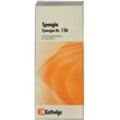 Synergon Komplex 136 Spongia Tropfen 50 ml