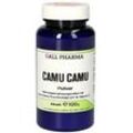 CAMU CAMU Pulver 100 g