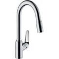 hansgrohe Focus M42 Küchenarmatur 220 2jet 71800000 mit Ausziehbrause, Schwenkbereich 360°, chrom