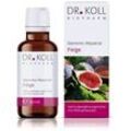 Gemmo Mazerat Feige Dr.Koll Ficus carica Tropfen 50 ml