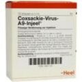 Coxsackie-virus A9 Injeel Ampullen 10 St