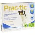 PRAC tic F.kleine Hunde 4,5-11 kg Einzel 3 St