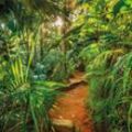 Fototapete Jungle Trail 368×254 cm Komar