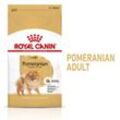 ROYAL CANIN POMERANIAN BREED ADULT Trockennahrung für ausgewachsene Zwergspitze (>8 Monate) 1,5 kg