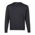 V-Pullover Peter Hahn grau