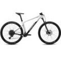 Mountainbike GHOST "Lector SF LC" Gr. 39, grau (hellgrau, schwarz), Fahrräder, 39cm, 29 Zoll (73,66cm), für Damen und Herren, Kettenschaltung