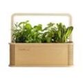 BerlinGreen GreenBox - Birke