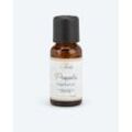 Propolis Nagelserum