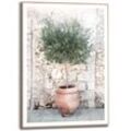 Bild OLIVE TREE (BHT 50x70x2,20 cm)