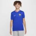 FFF (Women's Team) 2024/25 Stadium Home Nike Dri-FIT Replika-Fußballtrikot (ältere Kinder) - Blau