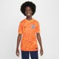 England (Women's Team) 2024/25 Stadium Goalkeeper Nike Dri-FIT Replika-Kurzarm-Fußballtrikot (ältere Kinder) - Orange