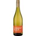 Somerset Beach Sauvignon Blanc, WO Western Cape, Western Cape, 2023, Weißwein