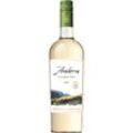 Anderra Sauvignon Blanc, Valle Central, Valle Central, 2022, Weißwein