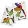 Gardigo Stickers Native Birds Fensteraufkleber Vogelbild Funktionsart Abschreckung 1 St.