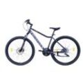 Sprick Mountainbike 29" Herren 21Gang Shimano TY200