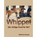 Whippet - Marianne Bunyan, Kartoniert (TB)