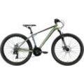 Mountainbike BIKESTAR Gr. 41, grau, Fahrräder, 41cm, 26 Zoll (66,04cm), für Damen und Herren, Kettenschaltung