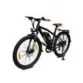 SachsenRAD E-Trekking Bike R6T Neo E-Bike Mountainbike