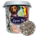 10 kg Lyra Pet Sonnenblumenkerne gestreift hk Bulgarien in 30 l Tonne