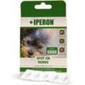 5 x 1 ml IPERON® SPOT-ON kleine Hunde