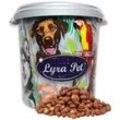 10 kg Lyra Pet® Erdnusskerne mit Haut in 30 L Tonne