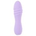 Minivibrator mit extrem starker Vibration (10 Modi)