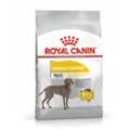 Ccn Dermacomfort Maxi - Hunde-Trockenfutter 12 kg - Royal Canin