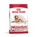 ROYAL CANIN MEDIUM Ageing 10+ Trockenfutter für ältere mittelgroße Hunde 15kg