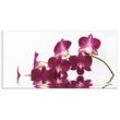 Küchenrückwand ARTLAND "Phalaenopsis Orchidee" Spritzschutzwände Gr. B/H: 120 cm x 60 cm, lila Küchendekoration Alu Spritzschutz mit Klebeband, einfache Montage