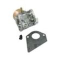 Selbstfahrender Vergaser mit Briggs- und Stratton-Motor 698171