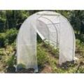 Dancover Foliengewächshaus 2x3x1,75m, 6m², PE, Transparent