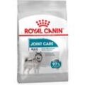 Essen Royal Canin Maxi Joint Care fЩr Hunde mit empfindlichen Gelenken gro¤er Rassen - 10 kg