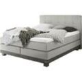 Boxspringbett HASENA "Boston", grau (grau, akazie grau), B:168cm L:210cm, Komplettbetten, Boxspringbett, Massivholz-Sockel, Punktsteppung im Kopfteil, Federkernmatratze