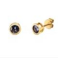 Paar Ohrstecker VIVANCE "585/- Gelbgold glanz Tansanit", gelb (gelb, blau), Ohrringe, Damen, ONE-SIZE, Gold