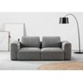 2-Sitzer RAUM.ID "Cushid" Sofas Gr. B/H/T: 218cm x 62cm x 109cm, Easy care, grau (platin) Modulsofa, bestehend aus 2 Teilen, Breite 218 cm