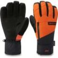 Dakine Leather Titan Goretex Short Glove Pureed Pumpkin L Unisex